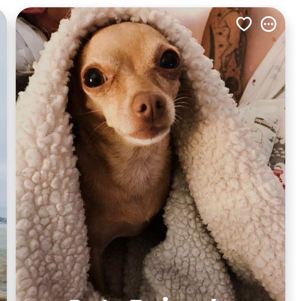 DO NOT BUY!! PRIVATE LISTING FOR DAZY